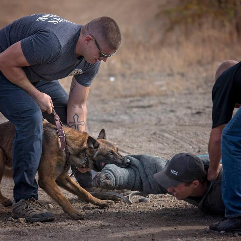 miclo Creek county k9