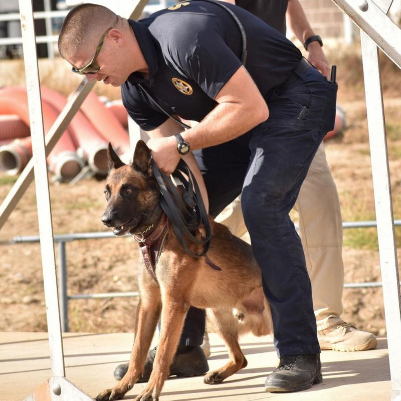 miclo Creek county k9